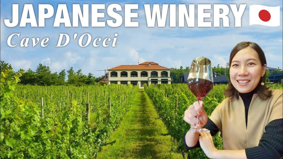NIIGATA🇯🇵  Go to a Japanese winery "Cave D'Occi"  🍇 Japan travel vlog