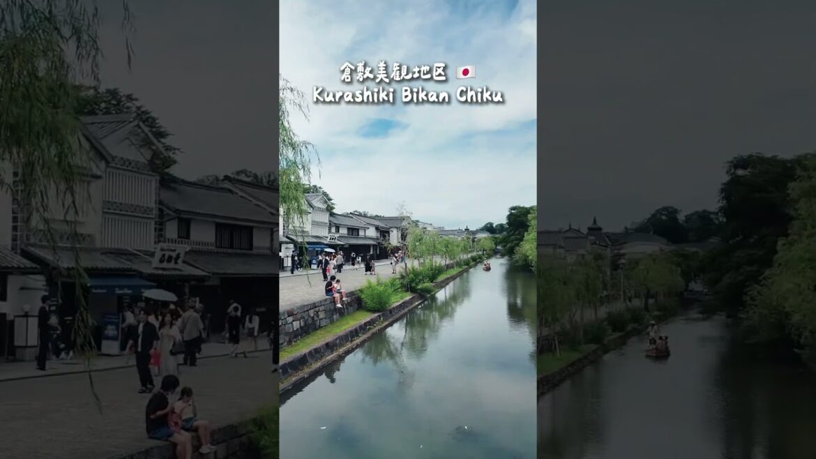 🇯🇵倉敷美観地区くらしきびかんちく Kurashiki Bikan Chiku #shorts 🇯🇵倉敷美観地区くらしきびかんちく Kurashiki Bikan Chiku #shorts