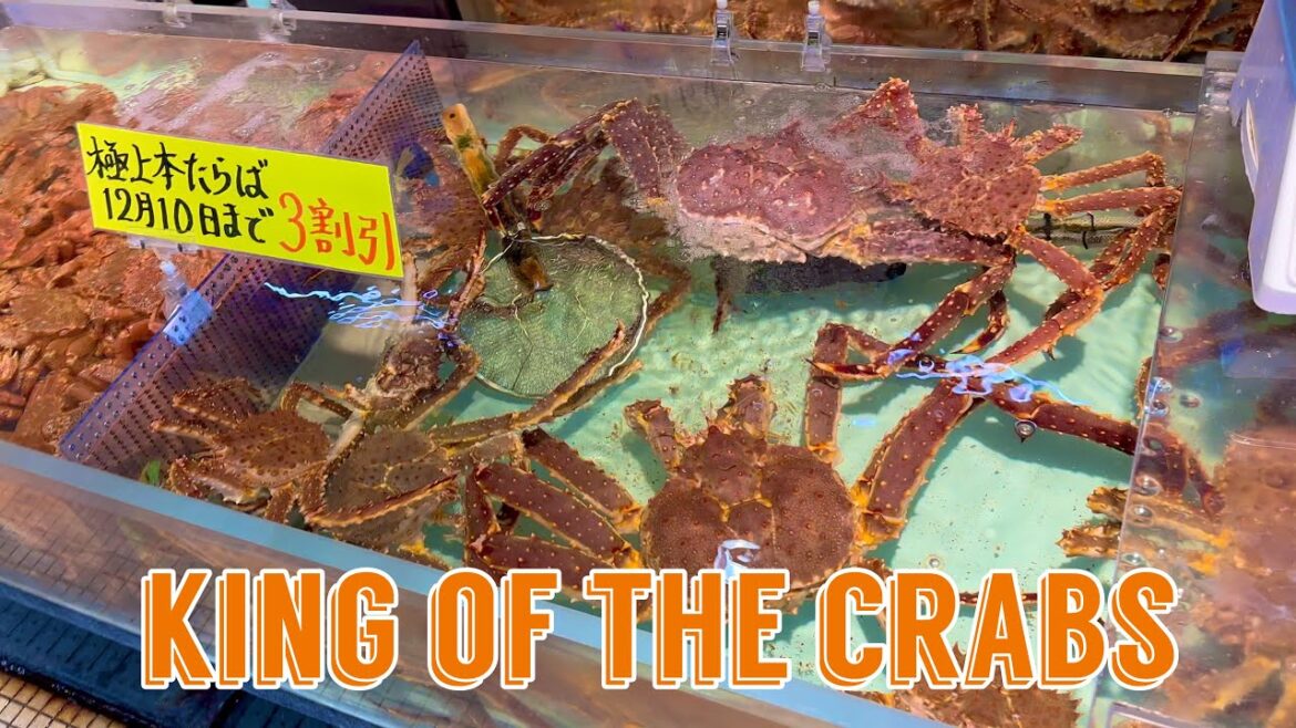 King Crabs of Northern Japan (Hokkaido) King Crabs of Northern Japan (Hokkaido)