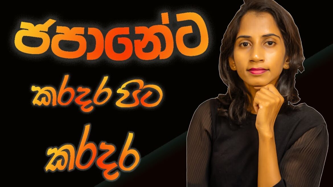 ජපානයට මේ දවස් වල කොහොමද?🇯🇵 | typhoon shanshan 2024 in japan |  Life In Japan ♥️| Sinhala Vlog