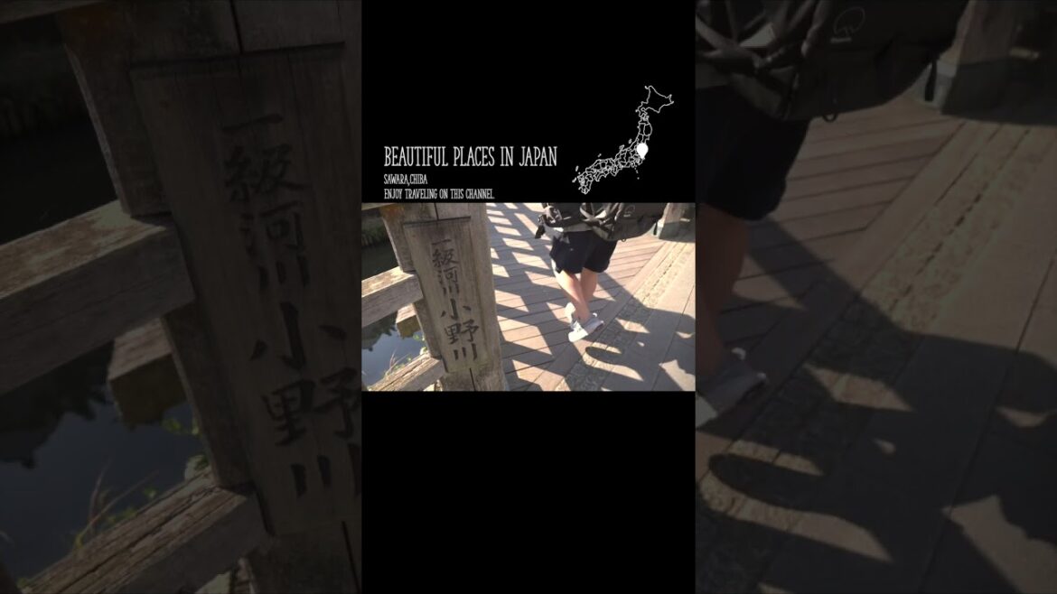 Picturesque Travel in JAPAN〜絶景旅行〜／Sawara,Chiba #travel  #japan  #千葉  #shorts  #絶景 #佐原 #sawara