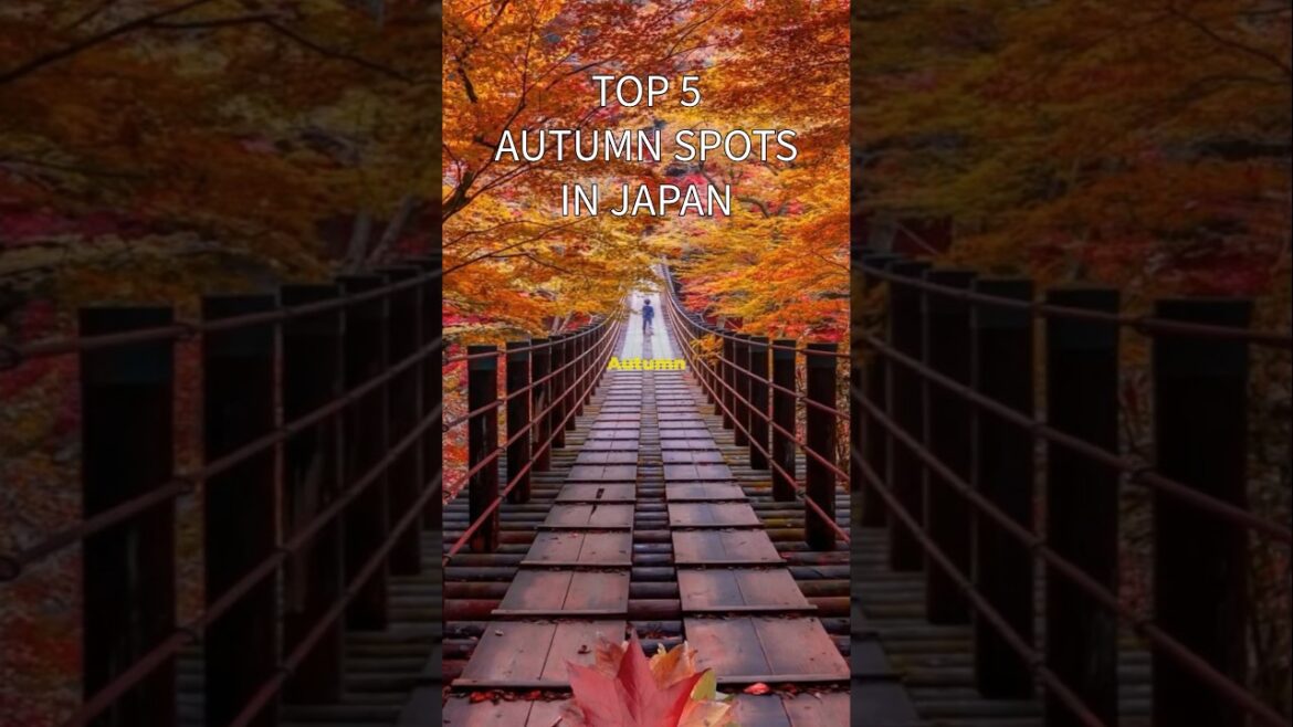 Top 5 Best Autumn π spots in Japan #japan #travel Top 5 Best Autumn π spots in Japan #japan #travel