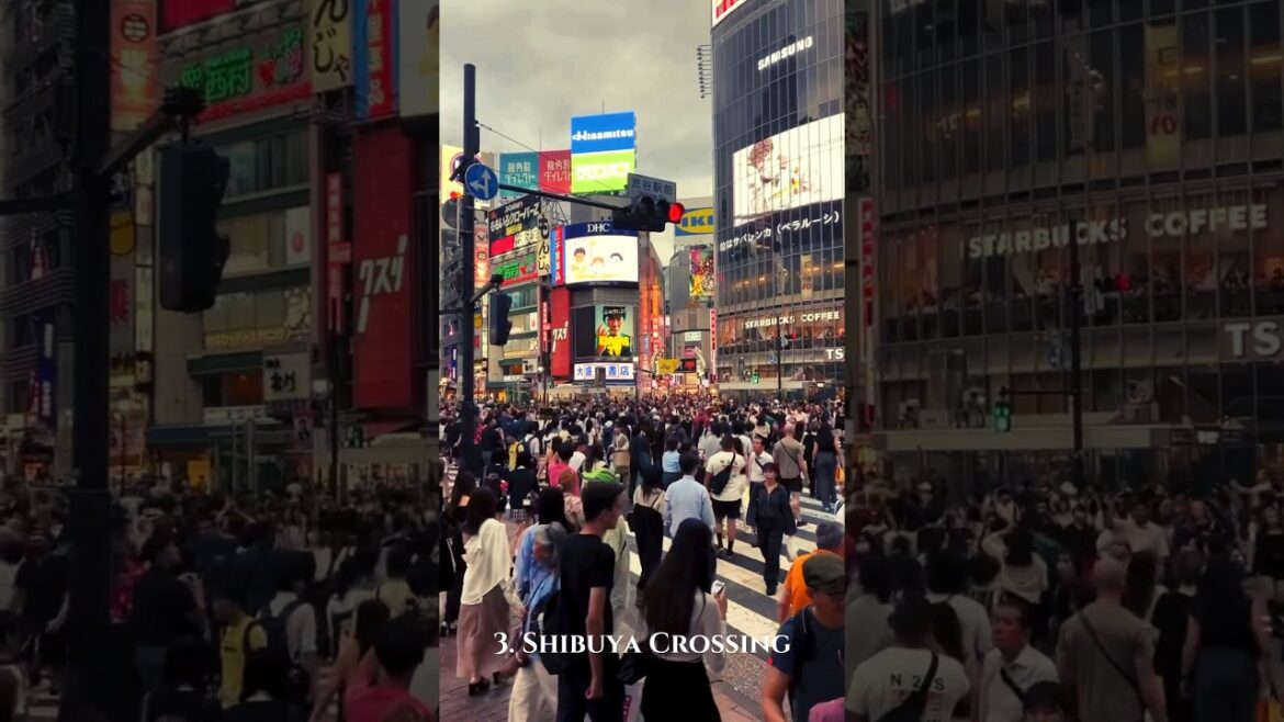 📍Top 10 Places to Visit in Tokyo- Shibuya Crossing & Gotokuji Temple🇯🇵#shibuya #shorts 📍Top 10 Places to Visit in Tokyo- Shibuya Crossing & Gotokuji Temple🇯🇵#shibuya #shorts