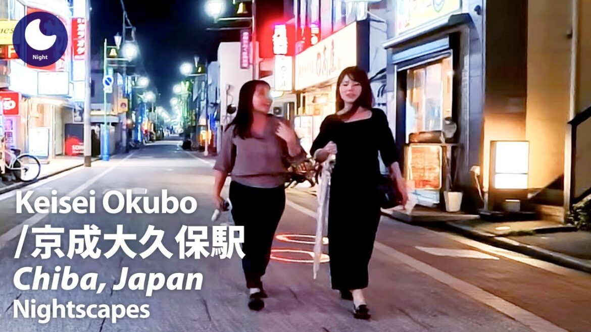 ⁴ᴷ Chiba: Keisei Okubo Station (千葉県: 京成大久保駅) – Japan Walking Tour (August, 2024) ⁴ᴷ Chiba: Keisei Okubo Station (千葉県: 京成大久保駅) - Japan Walking Tour (August, 2024)