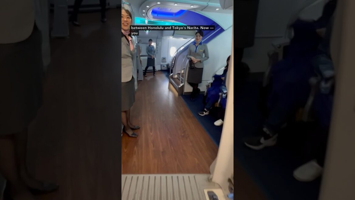 I flew to japan on a SKY COUCH on ANA A380?!? #AllNipponAirways #anaairlines #aviation