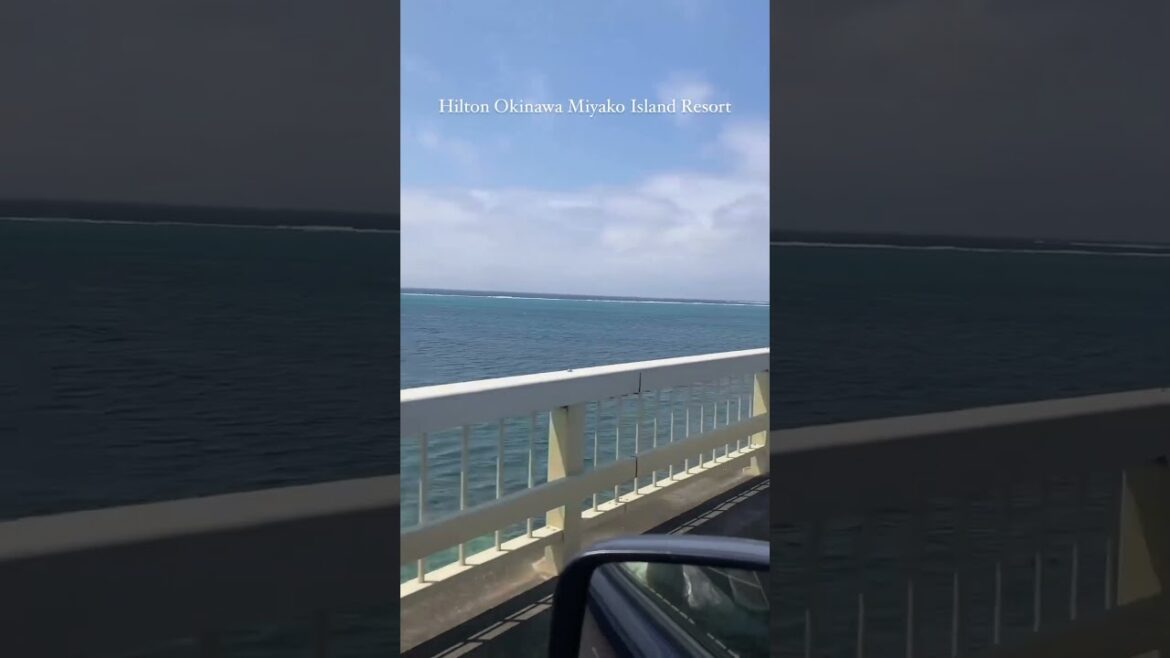 Explore Unbelievable Sunsets and Tropical Vibes!๐
๐ด #shorts #travel #okinawa Explore Unbelievable Sunsets and Tropical Vibes!๐
๐ด #shorts #travel #okinawa