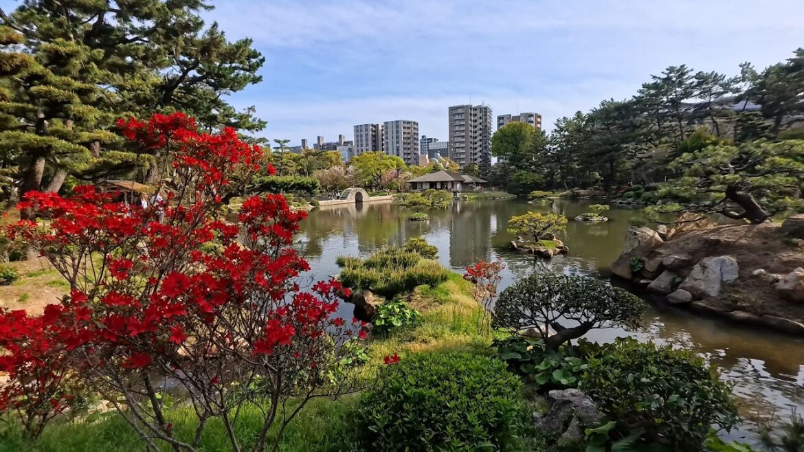 Discover the Beauty of Shukkeien Garden in Hiroshima Discover the Beauty of Shukkeien Garden in Hiroshima
