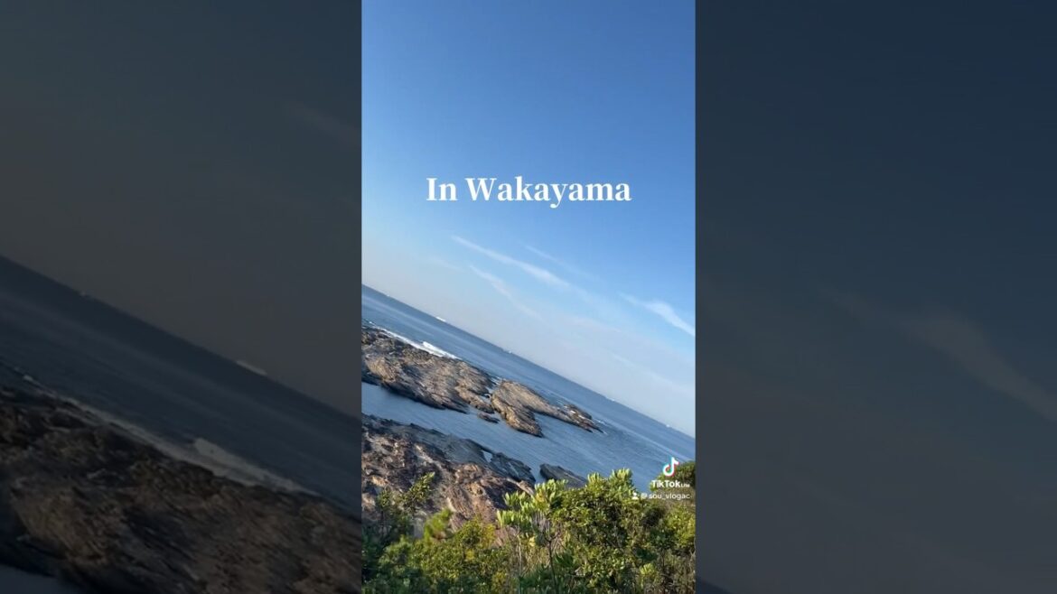 Ocean in Wakayama #ocean #japan #views #beautiful #beach #vlog