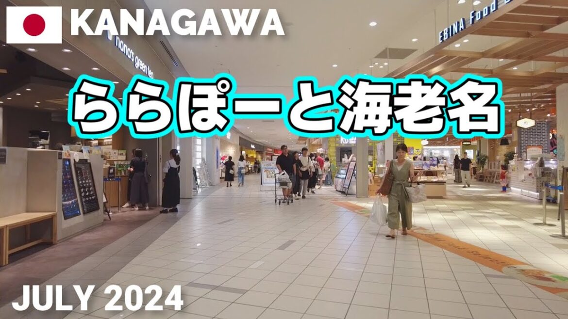 【神奈川】ららぽーと海老名を歩く2024 海老名駅直結で便利な大型ショッピングモール LaLaport EBINA Walking Tour, Kanagawa, Japan