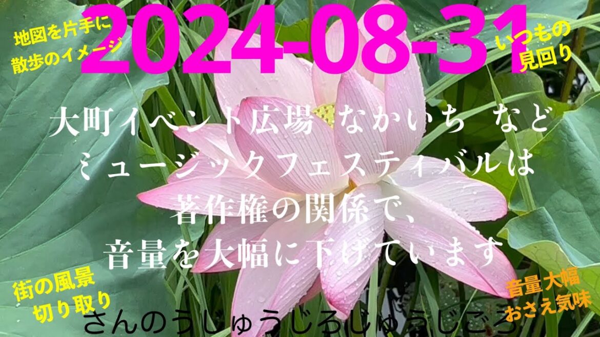 2024-08-31さんのうじゅうじろじゅうじごろ