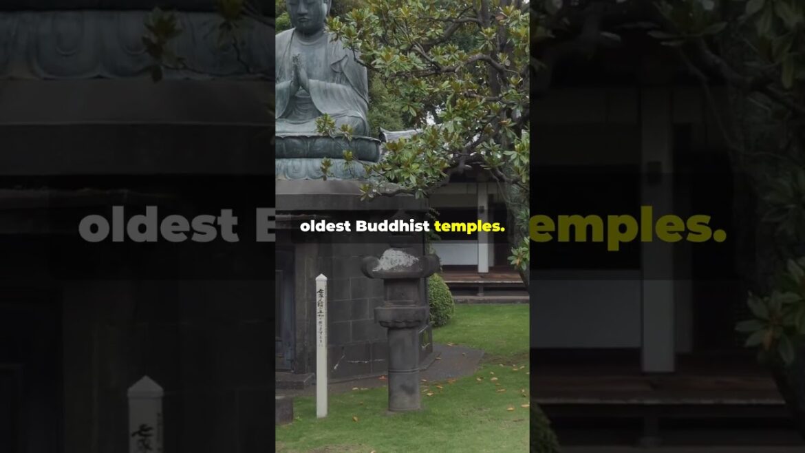 Discover Osaka Japan's Vibrant City!