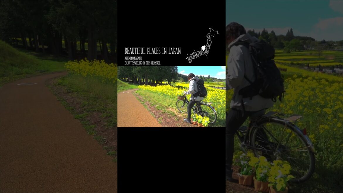 Picturesque Travel in JAPAN〜絶景旅行〜/Azumino,Nagano #travel #japan #長野 #shorts #絶景 #安曇野 #nagano Picturesque Travel in JAPAN〜絶景旅行〜/Azumino,Nagano #travel #japan #長野 #shorts #絶景 #安曇野 #nagano