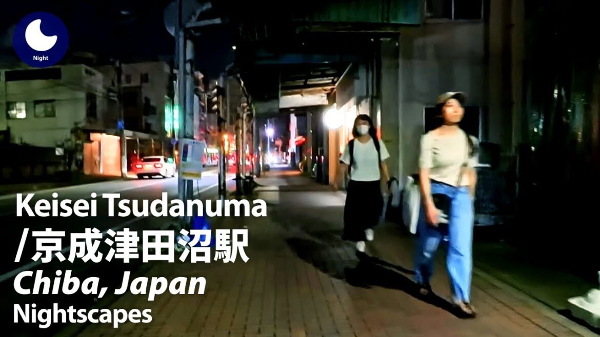 ⁴ᴷ Chiba: Keisei Tsudanuma Station (千葉県: 京成津田沼駅) – Japan Walking Tour (August, 2024) ⁴ᴷ Chiba: Keisei Tsudanuma Station (千葉県: 京成津田沼駅) - Japan Walking Tour (August, 2024)