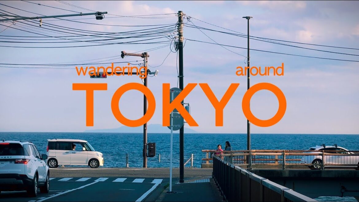 Lang thang Tokyo Trong 6 Ngày | Japan Travel Vlog
