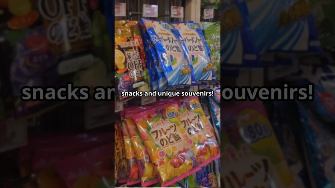 Tokyo Travel Guide Top Activities for First Time Visitors