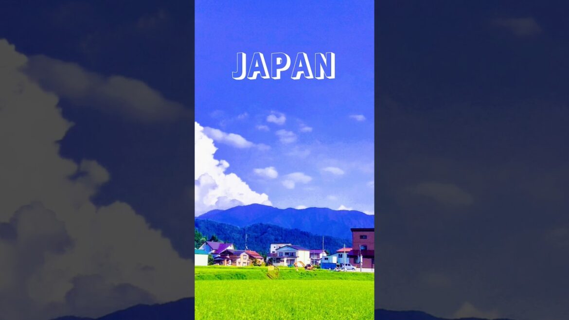 Cycling through Paddy Fields #japan #summer