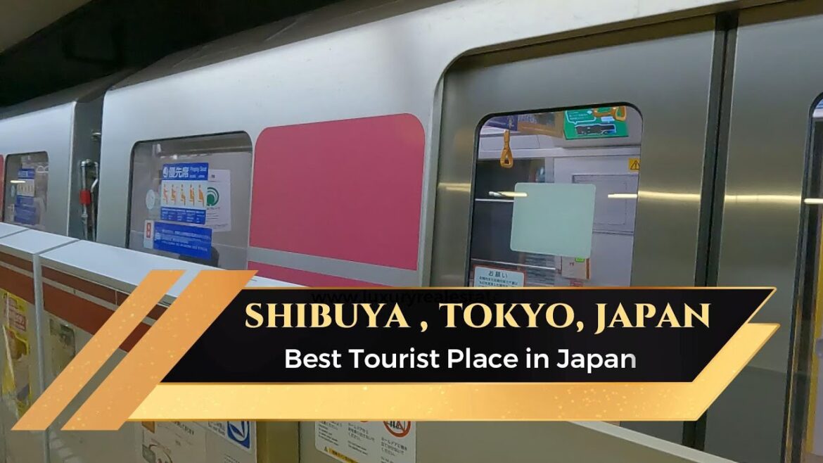 Shibuya Market in Tokyo || Japan Best Tourist Place #japantraveler #viralvideo #viralvideos Shibuya Market in Tokyo || Japan Best Tourist Place #japantraveler #viralvideo #viralvideos