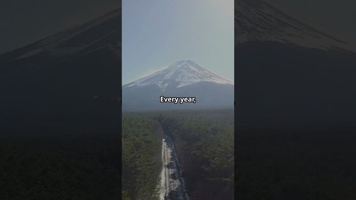 Climbing Mount Fuji: Japan's Most EPIC Adventure!  #youtubeshorts #travel #mountfuji