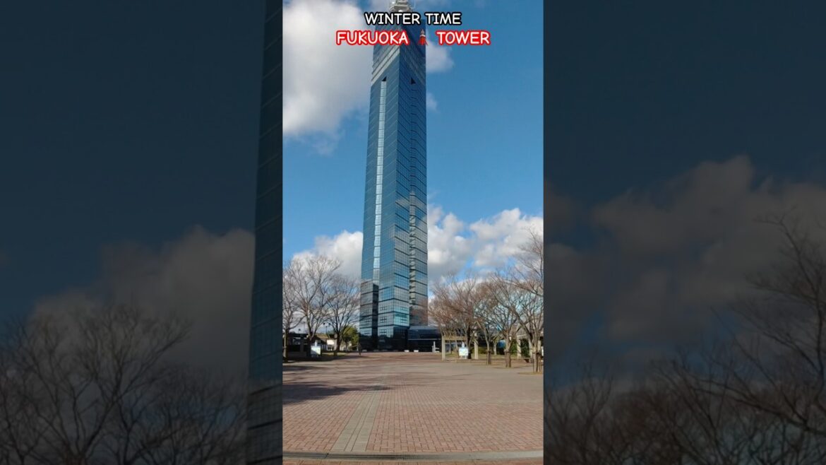 FUKUOKA TOWER 🇯🇵Stunning Views & Highlights FUKUOKA TOWER 🇯🇵Stunning Views & Highlights