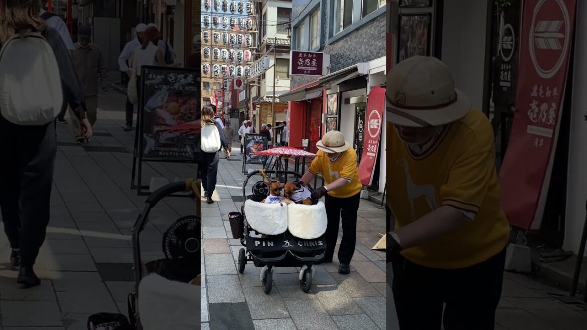 Are you ready to get lost in Tokyo? | #ASMR City Tour 💎#relaxing #sleep #asmrvideo #citytour #travel