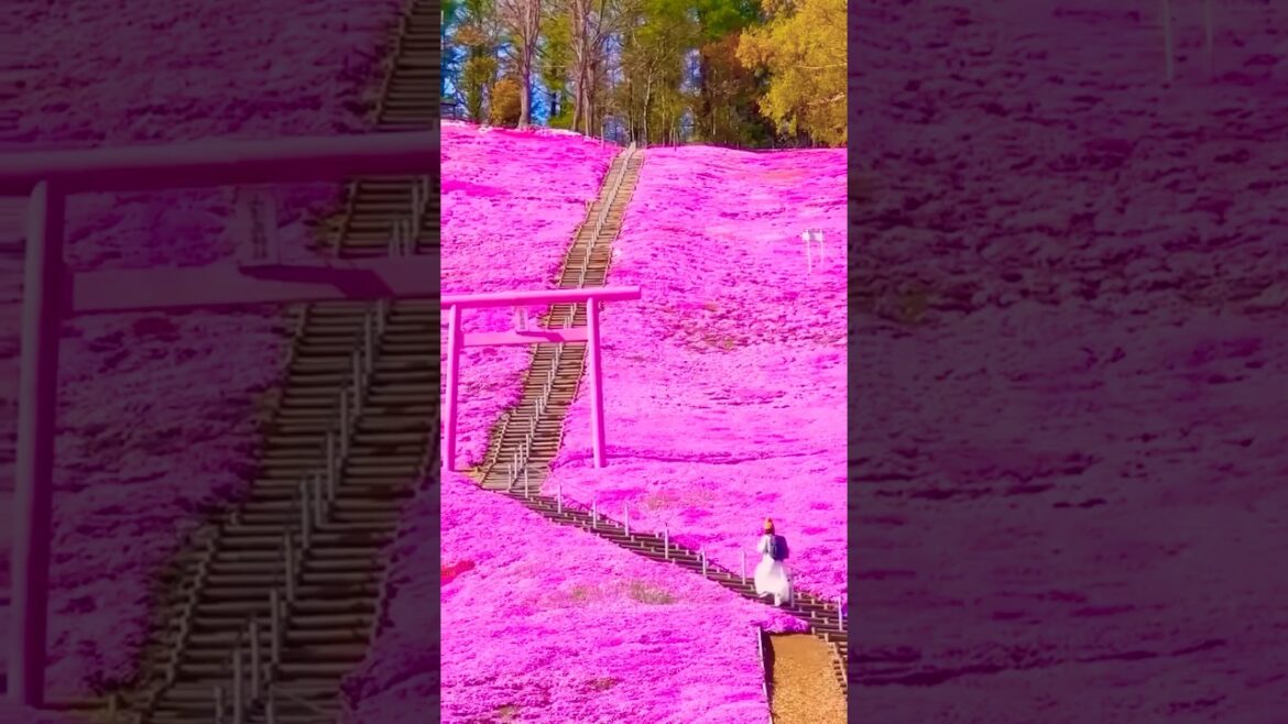 Most UNREAL Places To Visit In Japan. #shorts #explore #vacation Most UNREAL Places To Visit In Japan. #shorts #explore #vacation