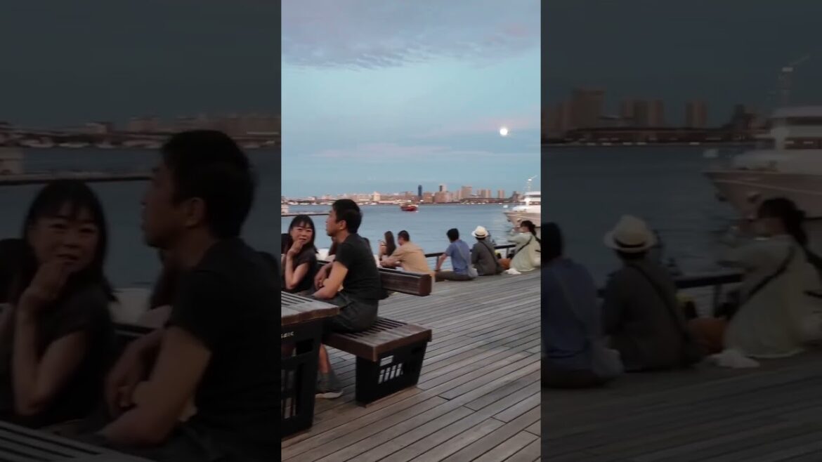 umie mosaic(モザイク)