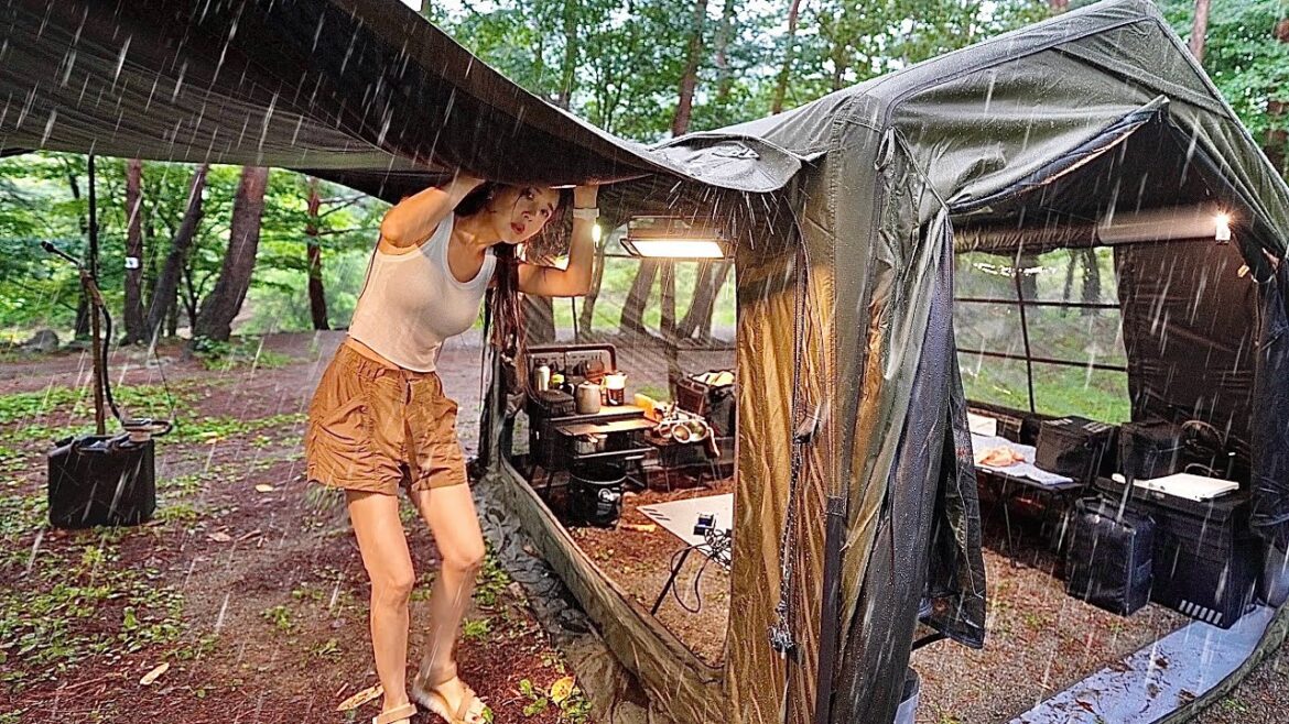 Solo camping in the rain – wet body overnight, typhoon, strong rain, cozy tent, ASMR Solo camping in the rain - wet body overnight, typhoon, strong rain, cozy tent, ASMR