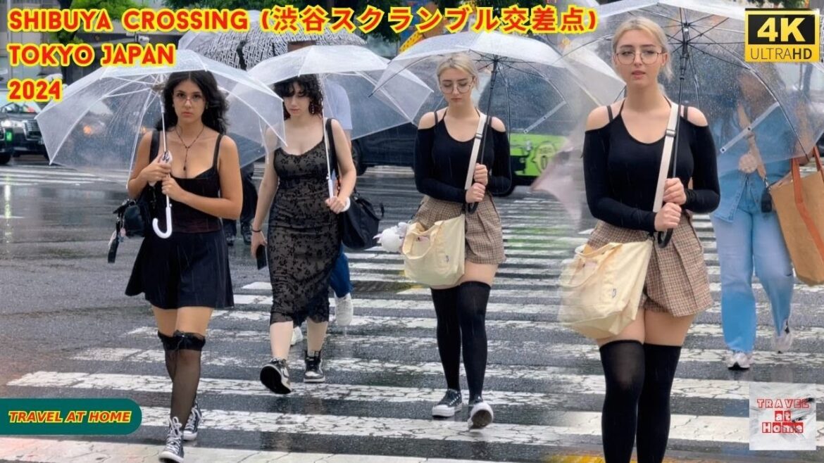 4k hdr Japan travel 2024 | Shibuya Crossing (渋谷スクランブル交差点) Tokyo  | Relaxing Natural City ambience
