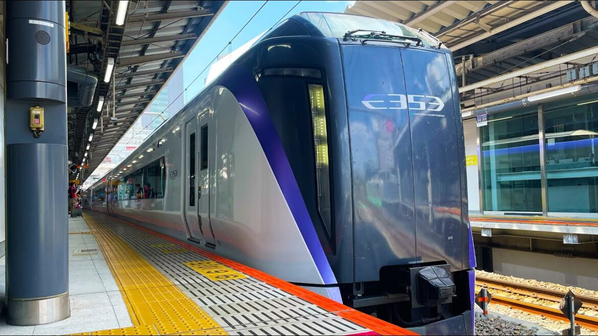 Luxurious Train Journey on the Limited Express Kaiji! A Comfortable Ride to the Foot of Mt. Fuji Luxurious Train Journey on the Limited Express Kaiji! A Comfortable Ride to the Foot of Mt. Fuji