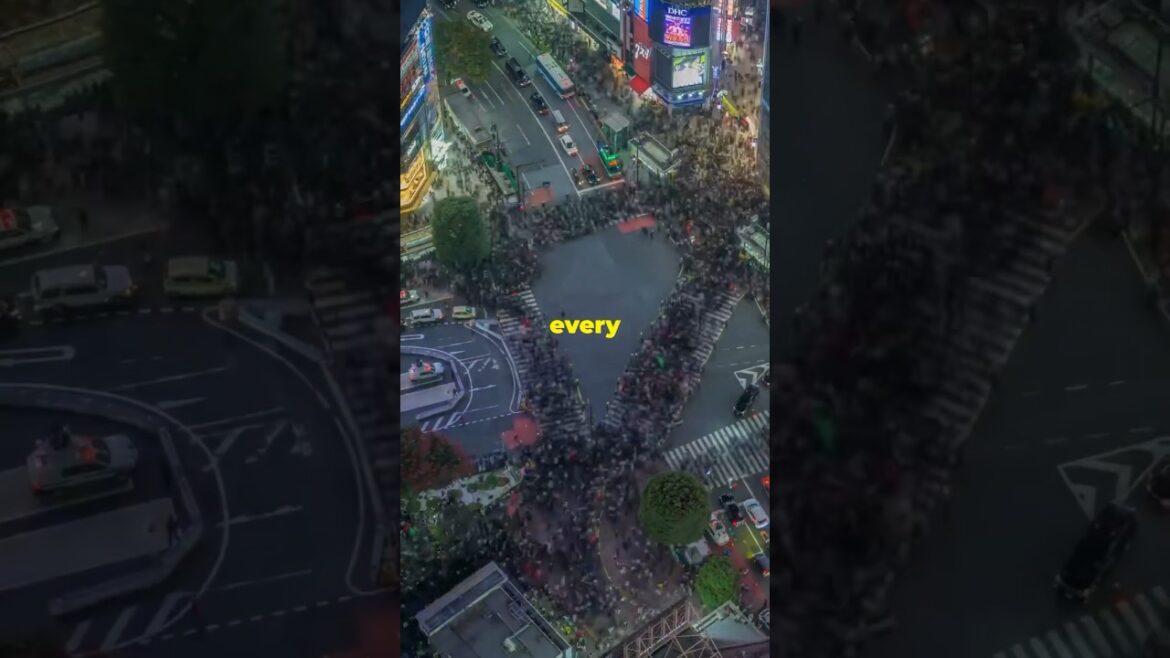 The Most Insane Intersection on Earth - Tokyo's Shibuya Crossing