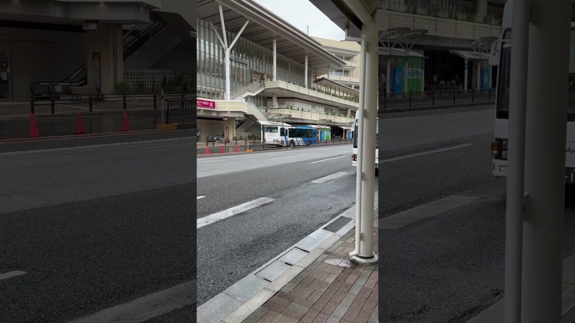 【沖縄】どっちに乗る？琉球バス交通の那覇空港行きが2台続けて並ぶシーン #shorts