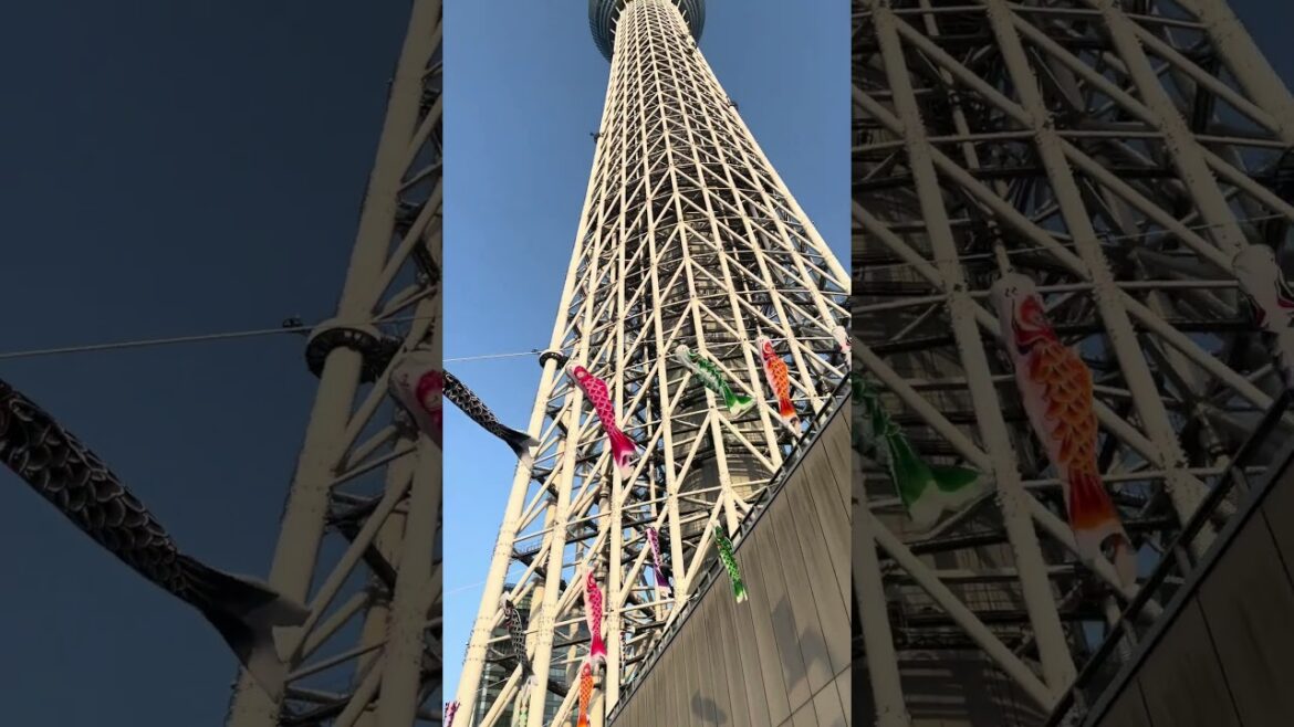 🎏 I Traveled Japan Alone For 2 Weeks