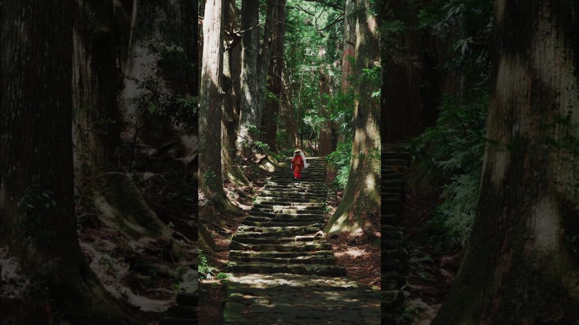 This is Japan#shorts #travel #explore beautiful destinations