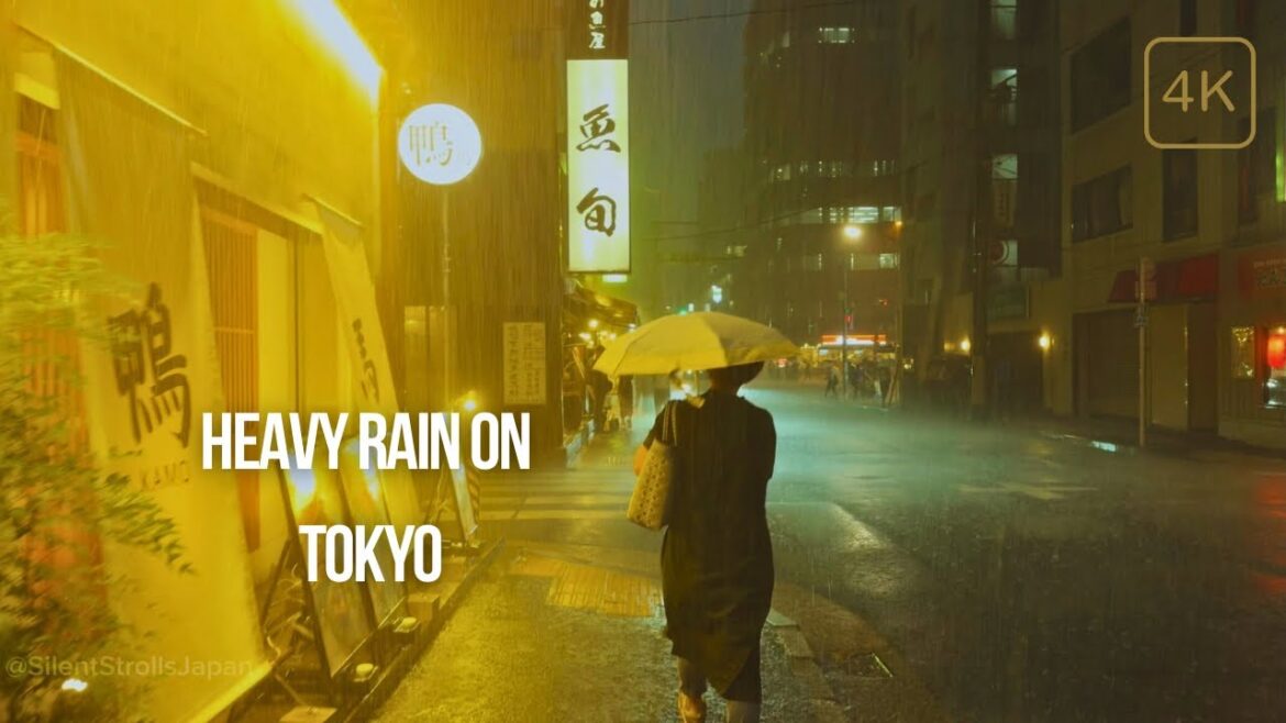 Tokyo Under Rain: 4K Walking Tour of Hamamatsucho's Hidden Gems