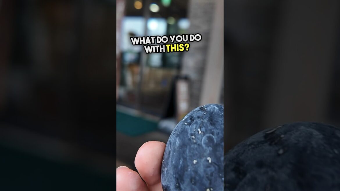 Hakone Volcano Black Egg?! #hakone #japanesefood  #travel #japantravel #japan #japanfood #foodreview Hakone Volcano Black Egg?! #hakone #japanesefood  #travel #japantravel #japan #japanfood #foodreview