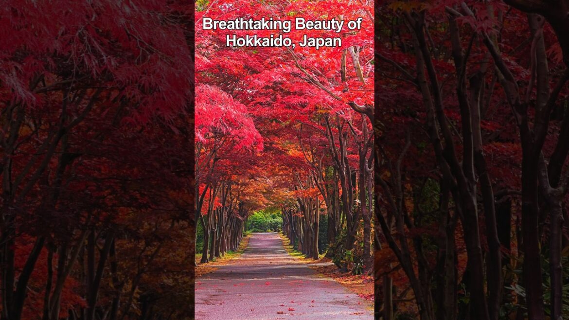 Breathtaking Beauty of Hokkaido, Japan - III #shorts #trending