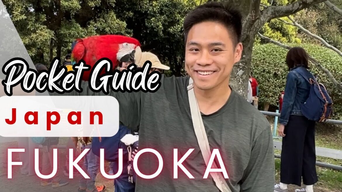 Beginner’s Guide to Fukuoka Beginner's Guide to Fukuoka