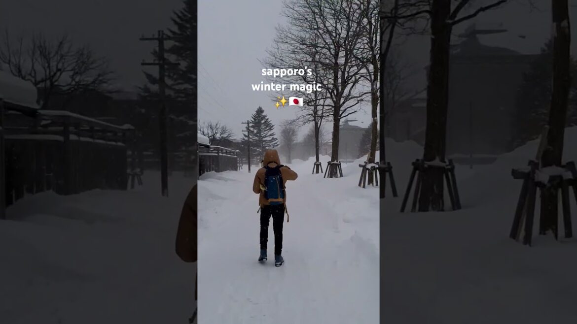 First Snow in Sapporo: From Snowflakes to a Surprise Snowstorm!