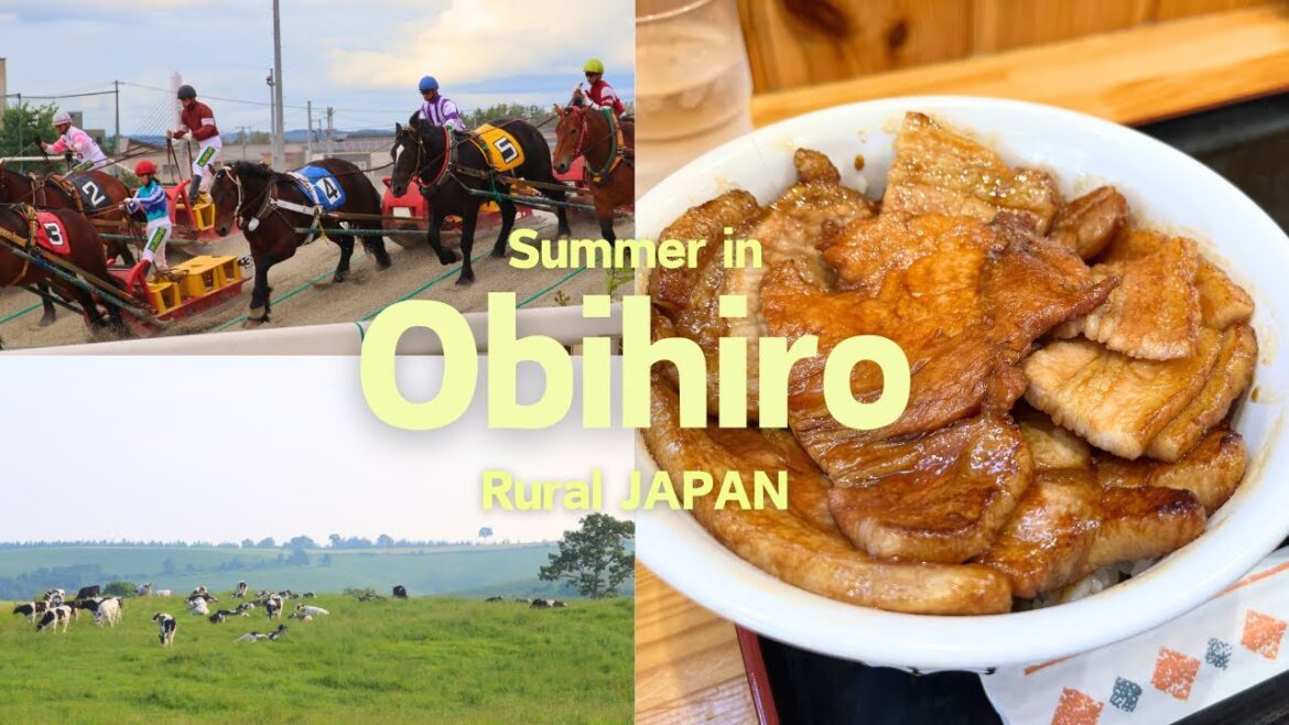 Summer trip to #Obihiro in #Hokkaido! Summer trip to #Obihiro in #Hokkaido!