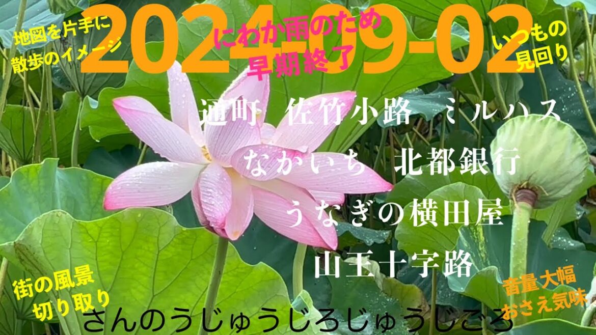 2024-09-02さんのうじゅうじろじゅうじごろ