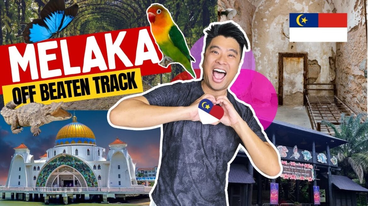 ๐ฅ๐ฎ๐ปโโ๏ธโฌ๏ธ Off the Beaten Track Melaka ๐ฆ6 Hidden Gem places that you don’t know exist ! ้ฉฌๅ
ญ็ฒ้่ๆฏ็น ๐ฅ๐ฎ๐ปโโ๏ธโฌ๏ธ Off the Beaten Track Melaka ๐ฆ6 Hidden Gem places that you don't know exist ! ้ฉฌๅ
ญ็ฒ้่ๆฏ็น