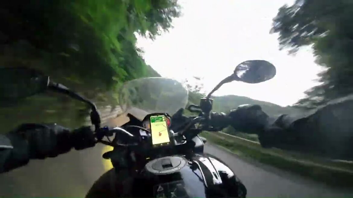 Evening Forest Run – Single lane | 4 min POV | Triumph Tiger | PURE 3-Cylinder Sound Evening Forest Run - Single lane | 4 min POV | Triumph Tiger | PURE 3-Cylinder Sound
