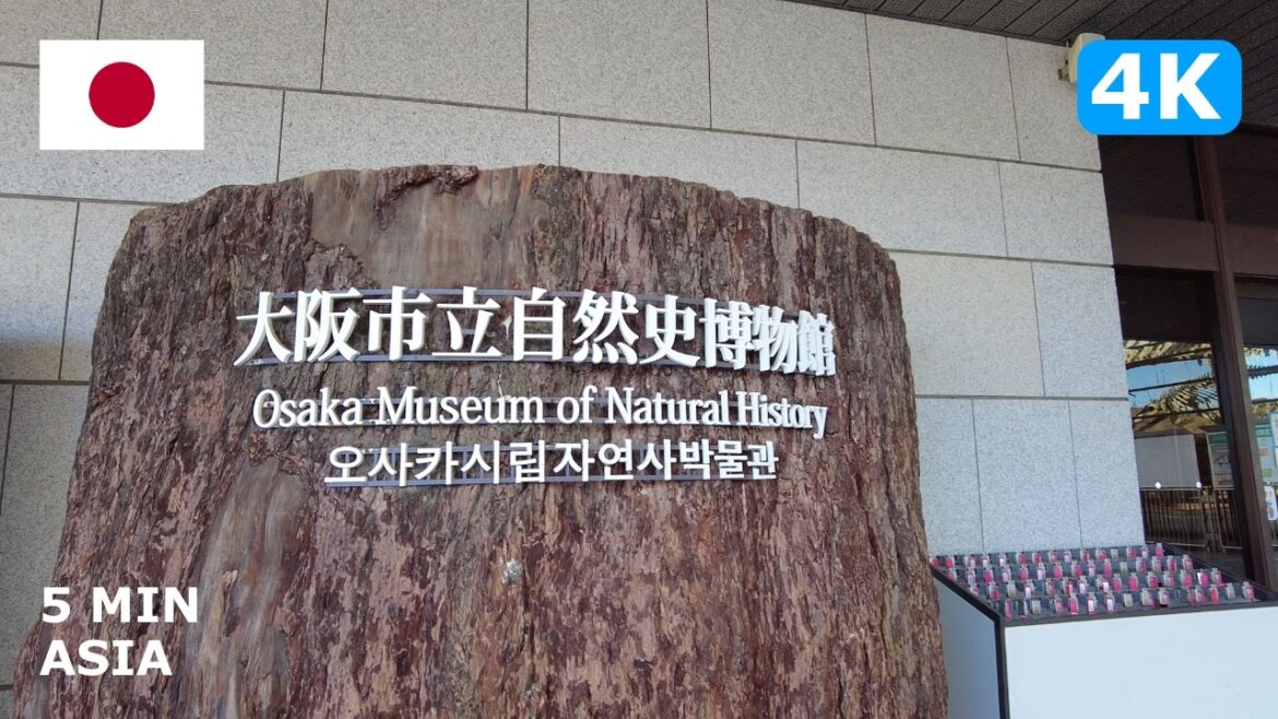 🇯🇵 Japan - Osaka: 5 Minutes Walking Tour - 4K