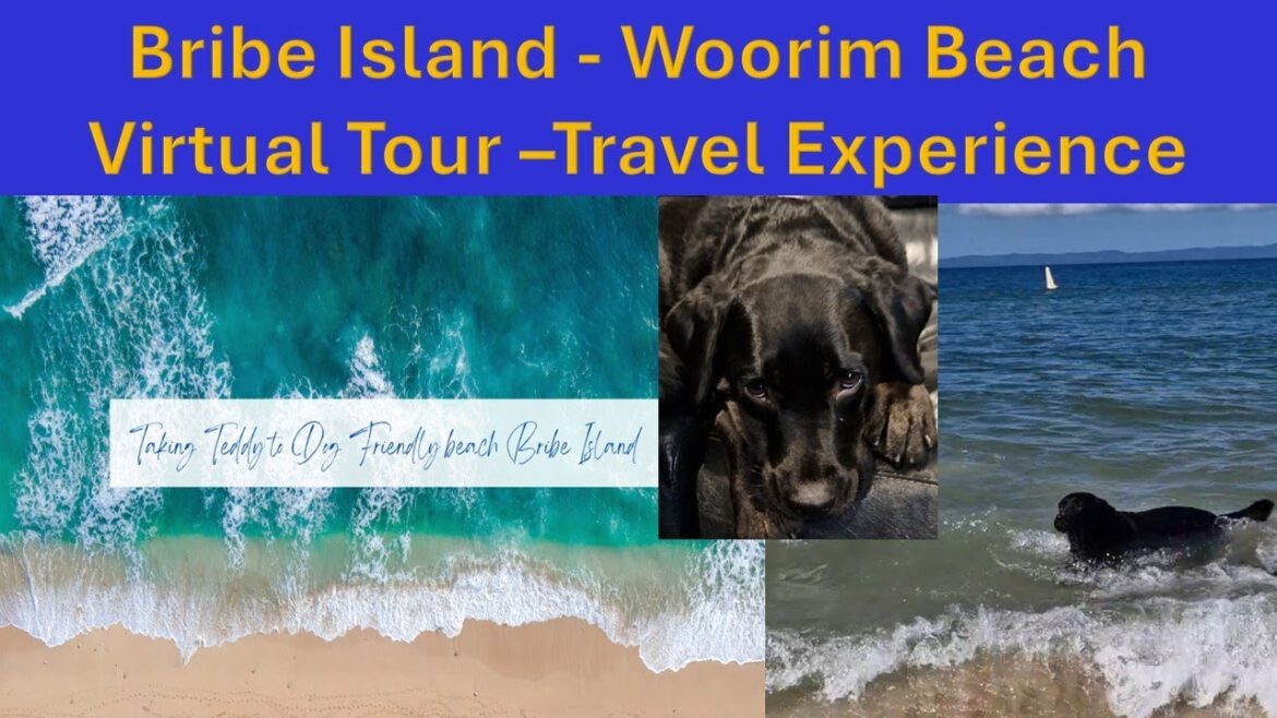 Travel experience: Beautiful Bribie Island's Dog off leash Beach  #nature #australiatravel #explore