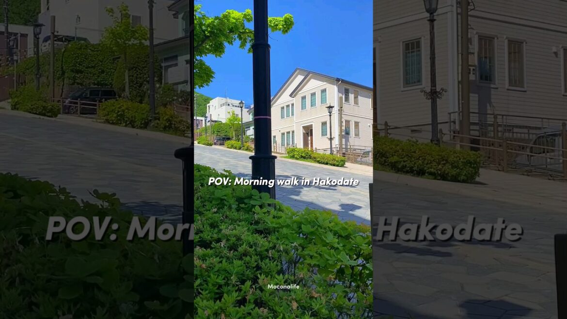 Slow living in Hakodate
