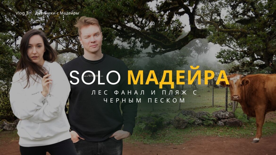 МАДЕЙРА: Нашли СЕКРЕТНЫЙ КОРОВИЙ УРОВЕНЬ в Фанал! Обзор рая на Сейшал пляже МАДЕЙРА: Нашли СЕКРЕТНЫЙ КОРОВИЙ УРОВЕНЬ в Фанал! Обзор рая на Сейшал пляже