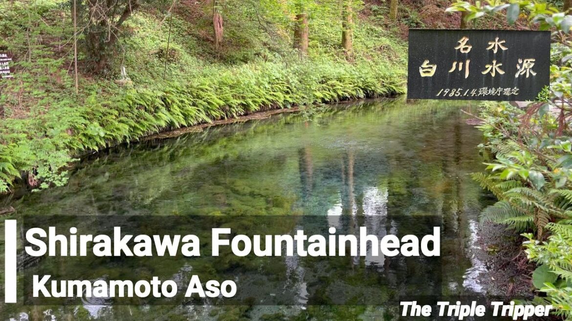 “Shirakawa Fountainhead(Spring)_白川水源” Aso/Kumamoto/Japan Trip-Log "Shirakawa Fountainhead(Spring)_白川水源" Aso/Kumamoto/Japan Trip-Log