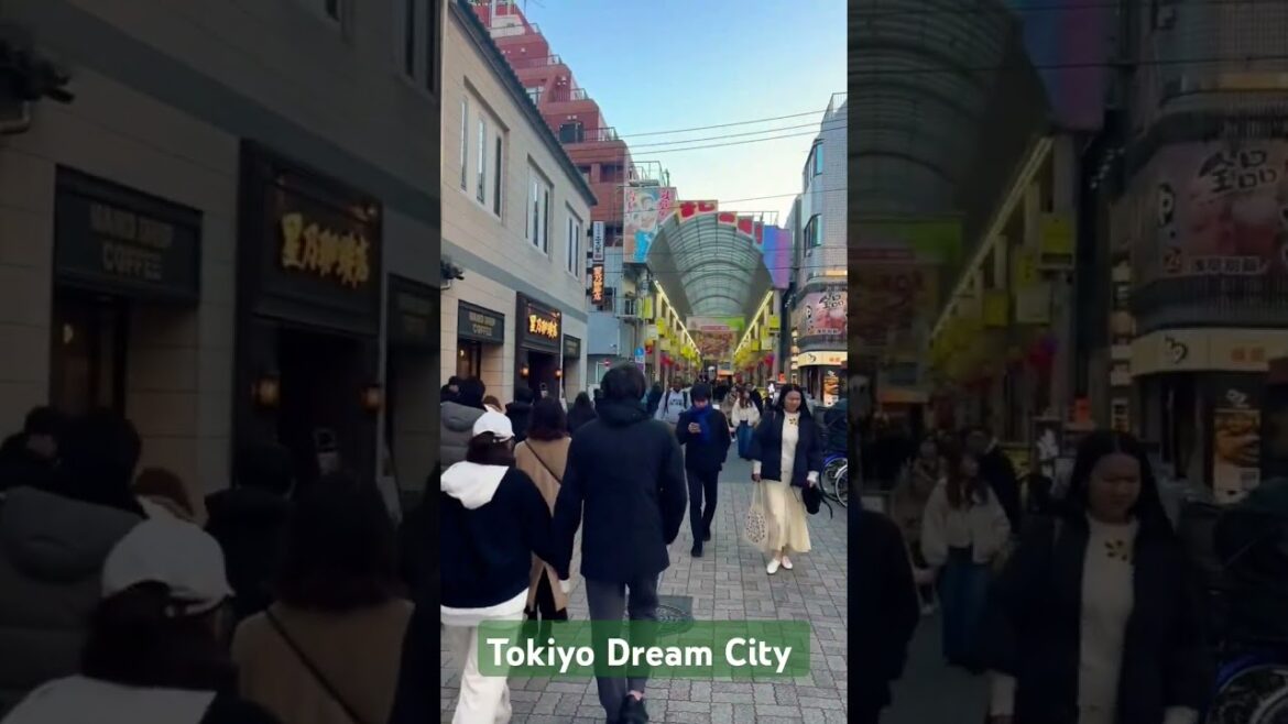 TOKIYO JAPAN  #shorts#viral#videos#Japan