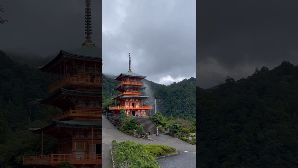 Wakayama Japan 🇯🇵  #travel #stereolove
