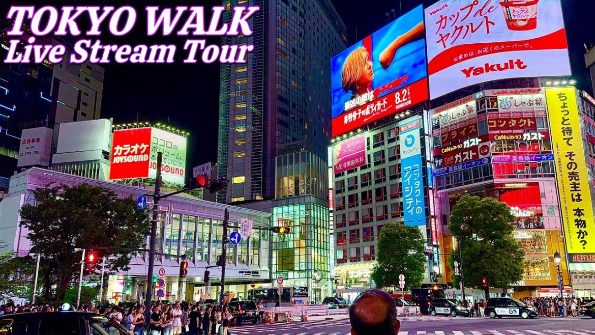 4K Japan Walk • Virtual Tour Compilation Of Tokyo’s Top Spots | Tokyo Live Walk🚶🇯🇵 4K Japan Walk • Virtual Tour Compilation Of Tokyo's Top Spots | Tokyo Live Walk🚶🇯🇵